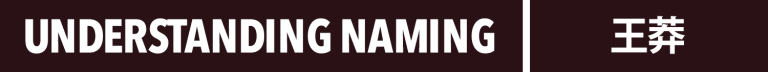 Wang Mang Naming new
